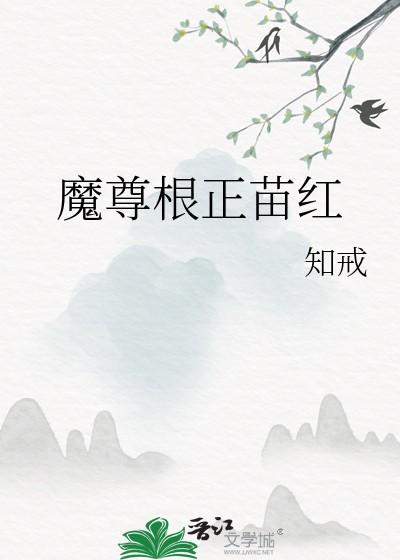 被迫玄学出道后我红了全文免费观看