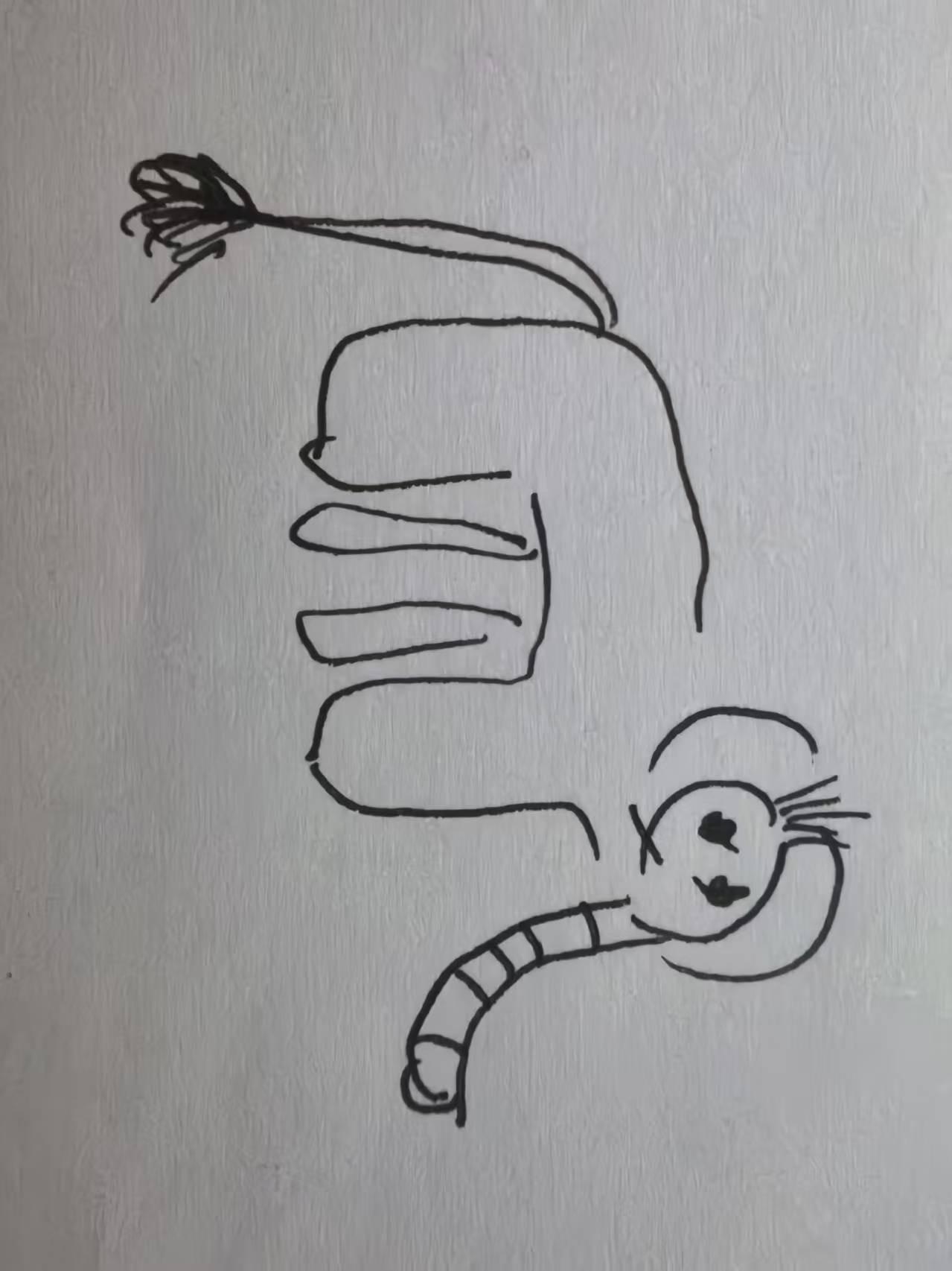 我等你很久了