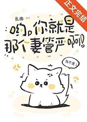 忍者精致