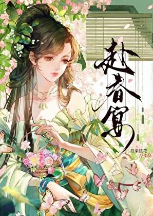 向导是干嘛的