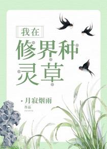 美人阿怜快穿最新章节更新内容