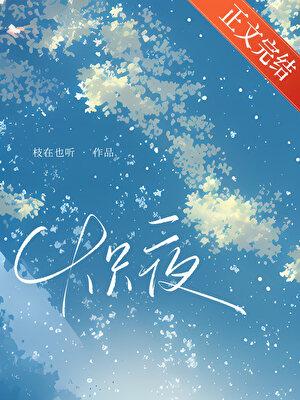 炽夜[先婚后爱]