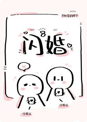 闪婚