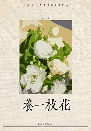 霸宠笑佳人