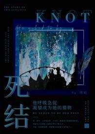 你梦见我全文免费阅读无弹窗