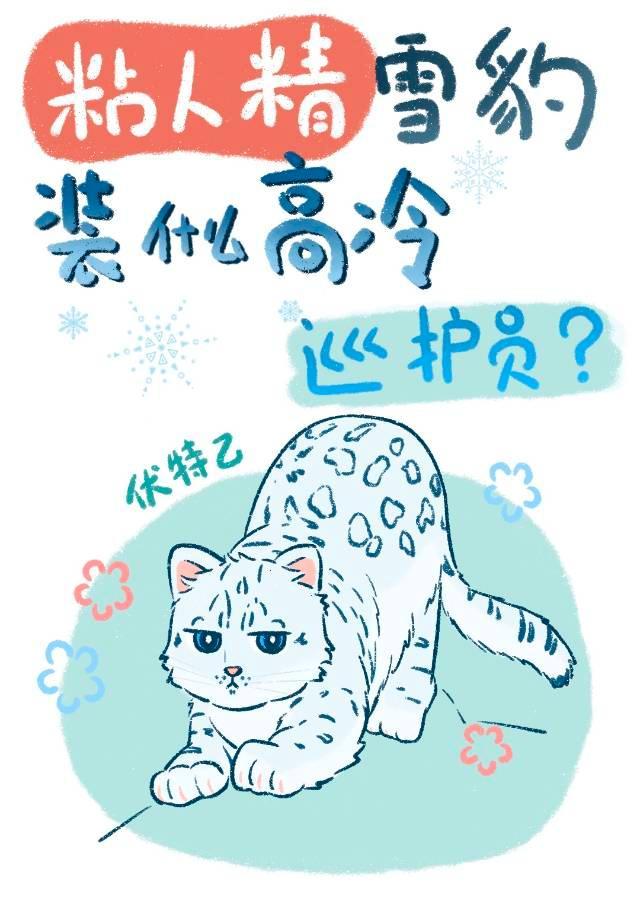 小白和精英顾漫