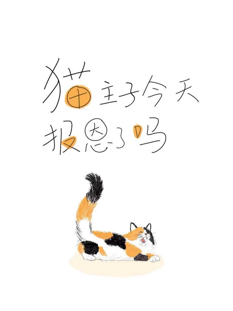 小白和精英TXT